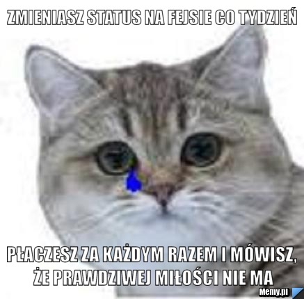 Zmieniasz status na fejsie co tydzień Płaczesz za każdym razem i mówisz, że prawdziwej miłości nie ma