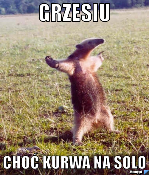 Grzesiu choć kurwa na solo