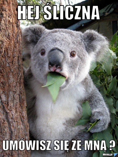 Hej śliczna  um&oacute;wisz się ze mną ?