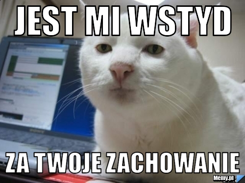 Jest mi wstyd za twoje zachowanie