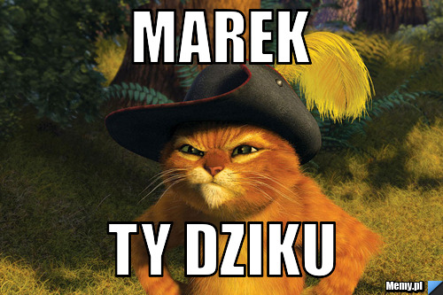 Marek  Ty Dziku