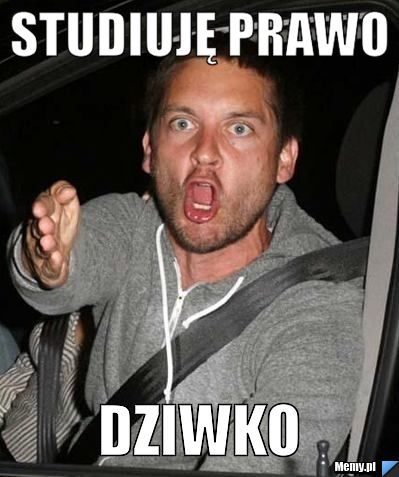 Studiuję prawo dziwko