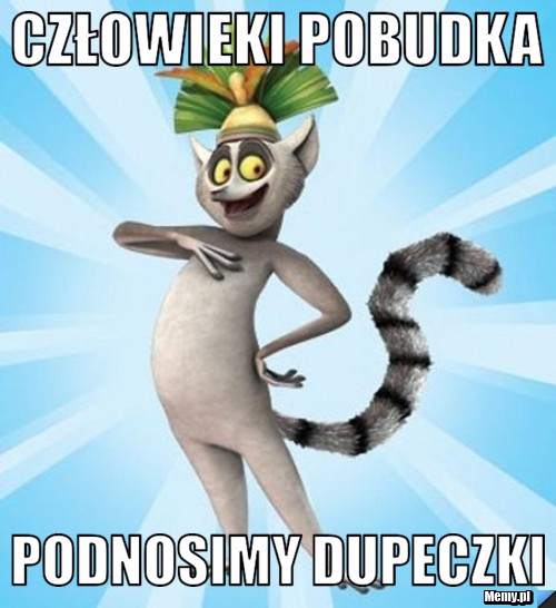 Człowieki pobudka podnosimy dupeczki