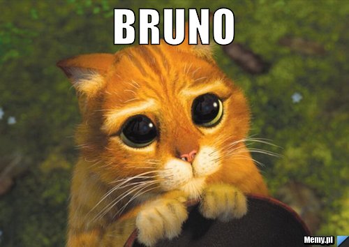 BRUNO 