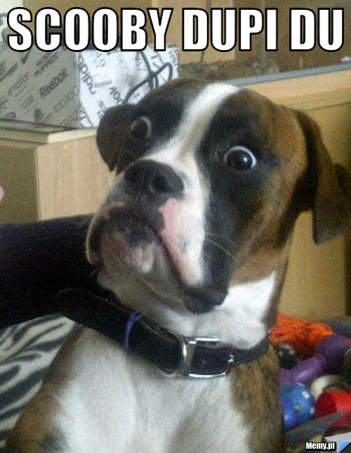 Scooby Dupi du 