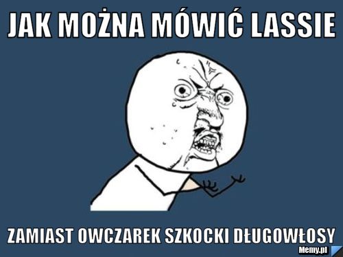 Jak można mówić LAssie zamiast owczarek szkocki długowłosy