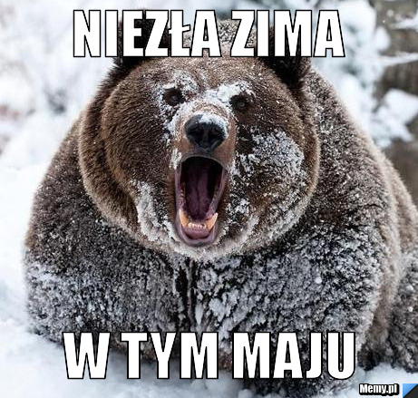 W tym maju w tym maju
