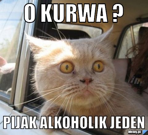 O kurwa ? pijak alkoholik jeden