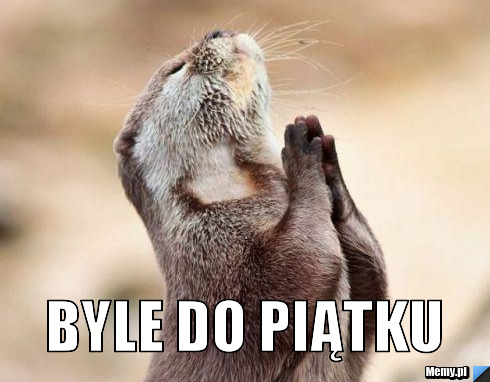 Byle do pi?tku Byle do piątku
