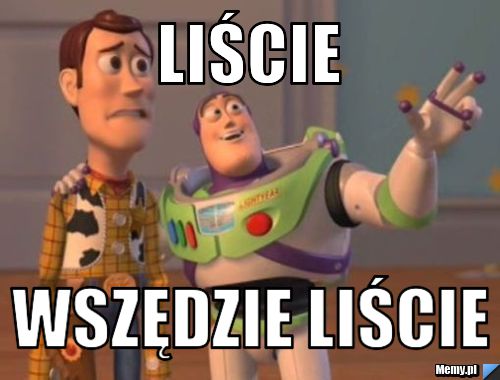 Liście wszędzie liście
