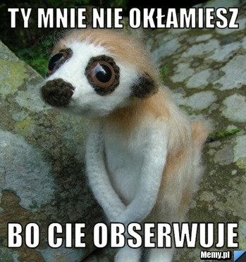 Ty mnie nie okłamiesz  bo cie obserwuje 