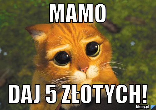 Mamo Daj 5 złotych!