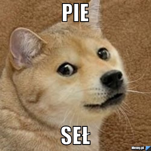 Pie seł
