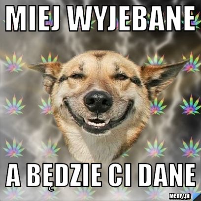 Miej wyjebane a będzie ci dane
