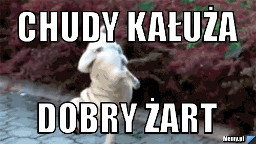 Chudy Kałuża Dobry Żart