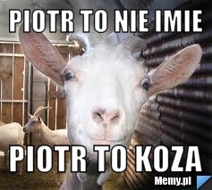 Piotr to nie imie piotr to koza