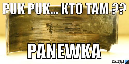 Puk Puk... kto tam ?? Panewka