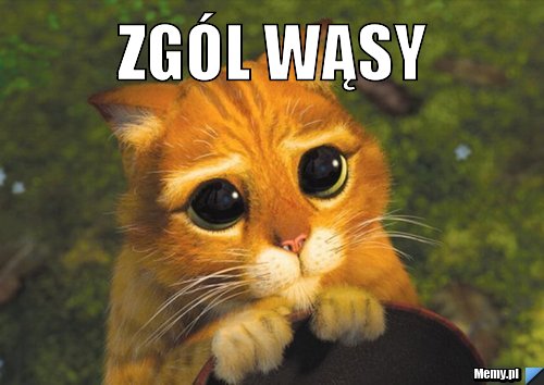Zgól wąsy 