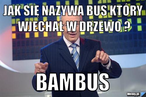 Jak się nazywa Bus który wjechał w drzewo ? Bambus