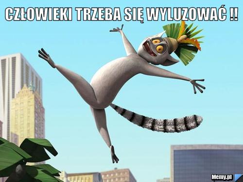 Człowieki trzeba się wyluzować !! 