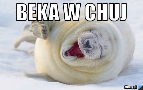 Beka w chuj 