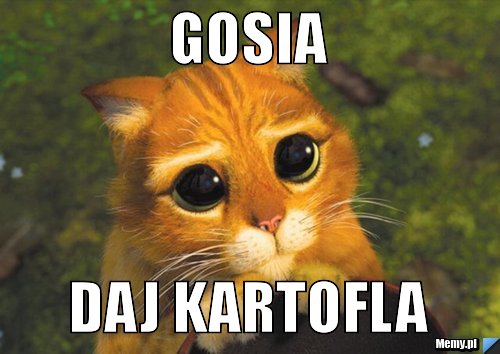 Gosia daj kartofla