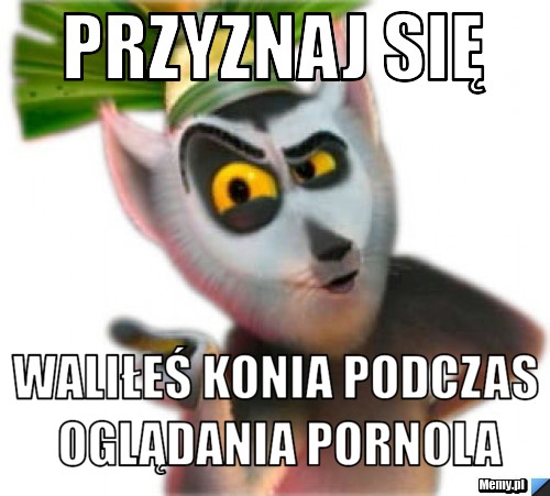 Przyznaj się waliłeś konia podczas oglądania pornola