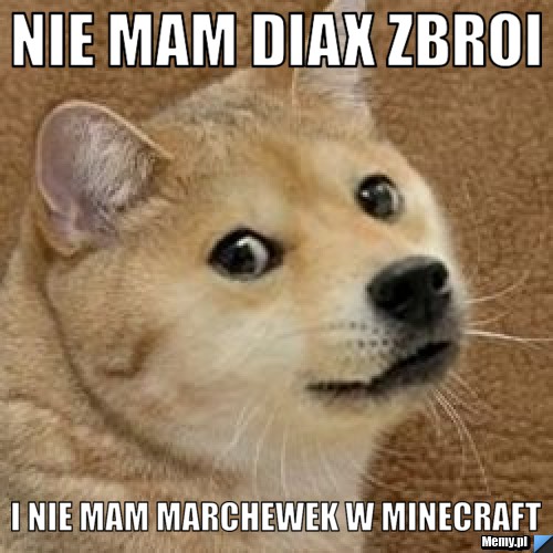 NIE MAM DIAX ZBROI I NIE MAM MARCHEWEK W MINECRAFT