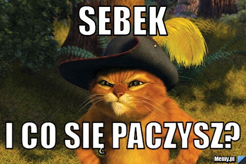 Sebek  i co się paczysz?