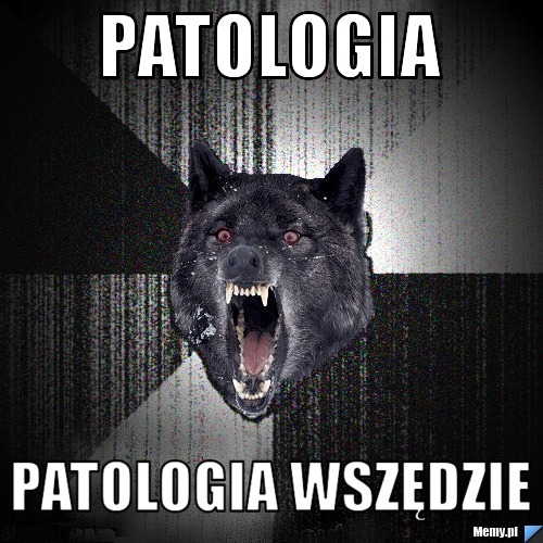 Patologia patologia wszędzie
