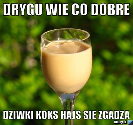 DrygU wie co dobre dziwki koks hajs sie zgadza