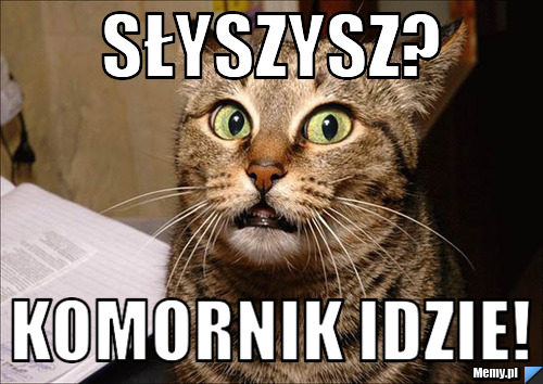 Słyszysz? komornik idzie!