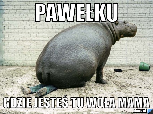 Pawełku gdzie jesteś tu woła mama