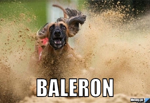  baleron