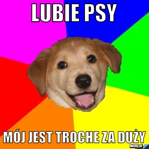 Lubie Psy Mój jest troche za duży