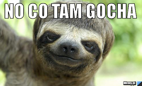 NO CO TAM GOCHA 