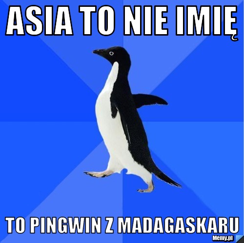 Asia to nie imię  to pingwin z Madagaskaru