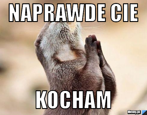 Naprawde cie KOCHAM 