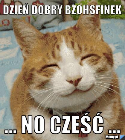 Dzień Dobry Bżohsfinek ... no cześć ...