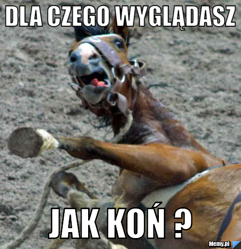 Dla czego wyglądasz jak koń ?