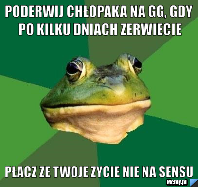 Poderwij chłopaka na gg, gdy po kilku dniach zerwiecie płacZ ze twoje zycie nie na sensu