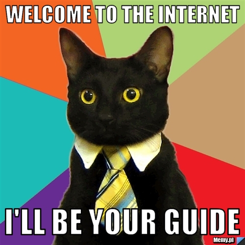 Welcome to the internet i'll be your guide