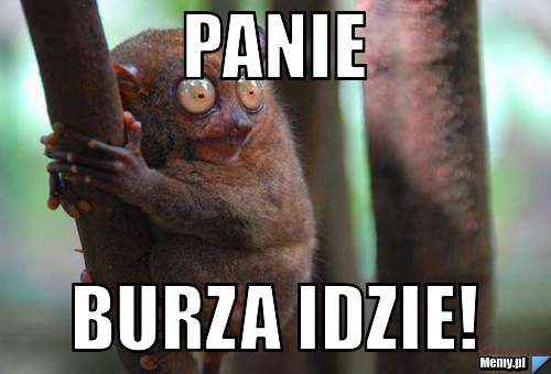 Panie burza idzie!