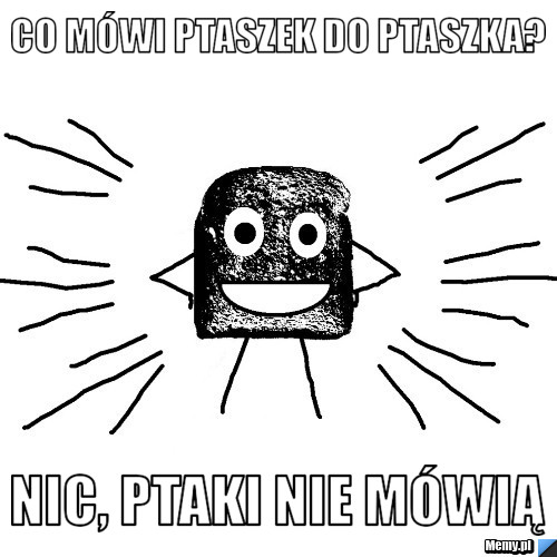 Co mówi ptaszek do ptaszka? nic, Ptaki nie mówią