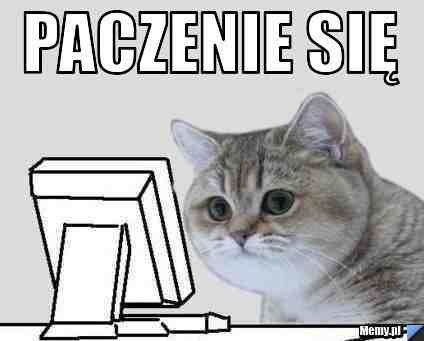 PACZENIE SIĘ 