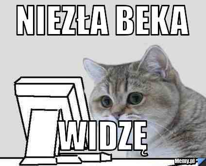 NIEZŁA BEKA WIDZĘ