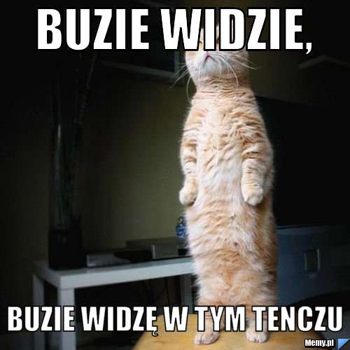 Buzie widzie, buzie widzę w tym tenczu