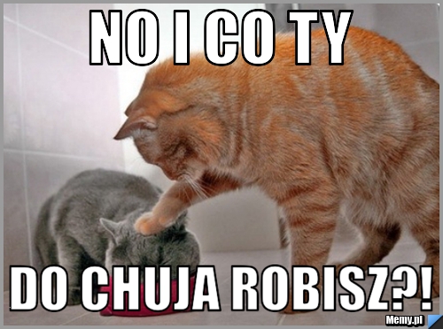 NO I CO TY DO CHUJA ROBISZ?!