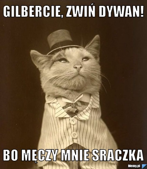 Gilbercie, zwiń dywan! Bo męczy mnie sraczka