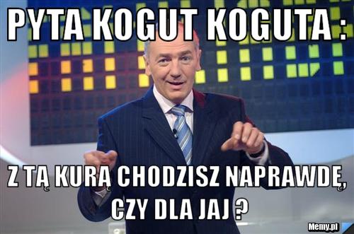 PYTA KOGUT KOGUTA : Z TĄ KURĄ CHODZISZ NAPRAWDĘ, CZY DLA JAJ ?